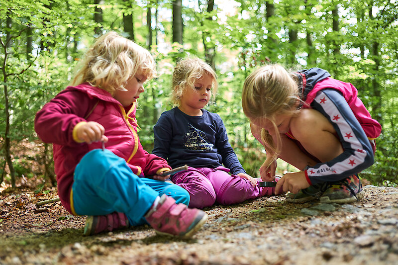 Familienurlaub am Nationalpark Bayerischer Wald